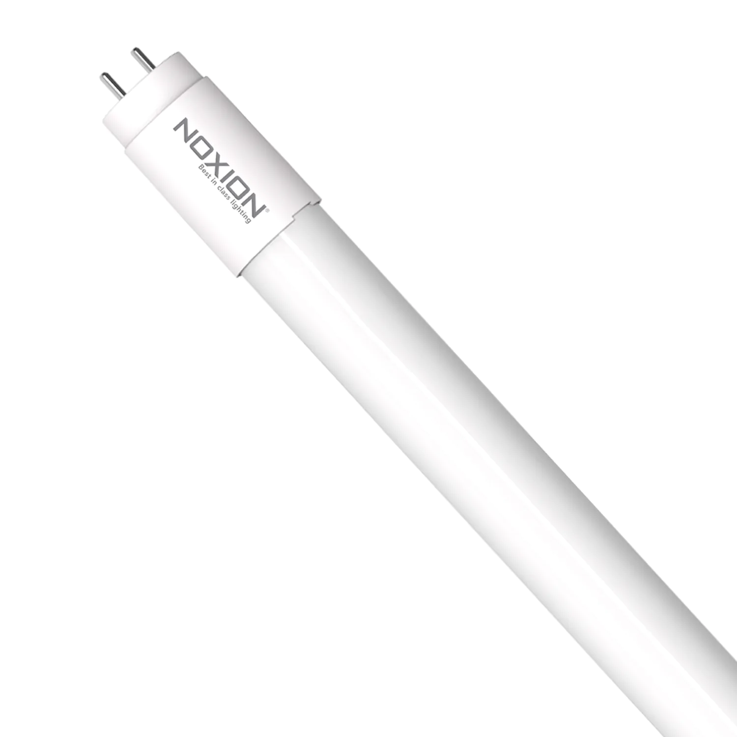 Tubes LED T8 Budgetlight 