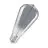 Osram Vintage 1906 LED E27 Special Filament Claire Edison 2.2W 60lm - 818  | Remplacement 15W